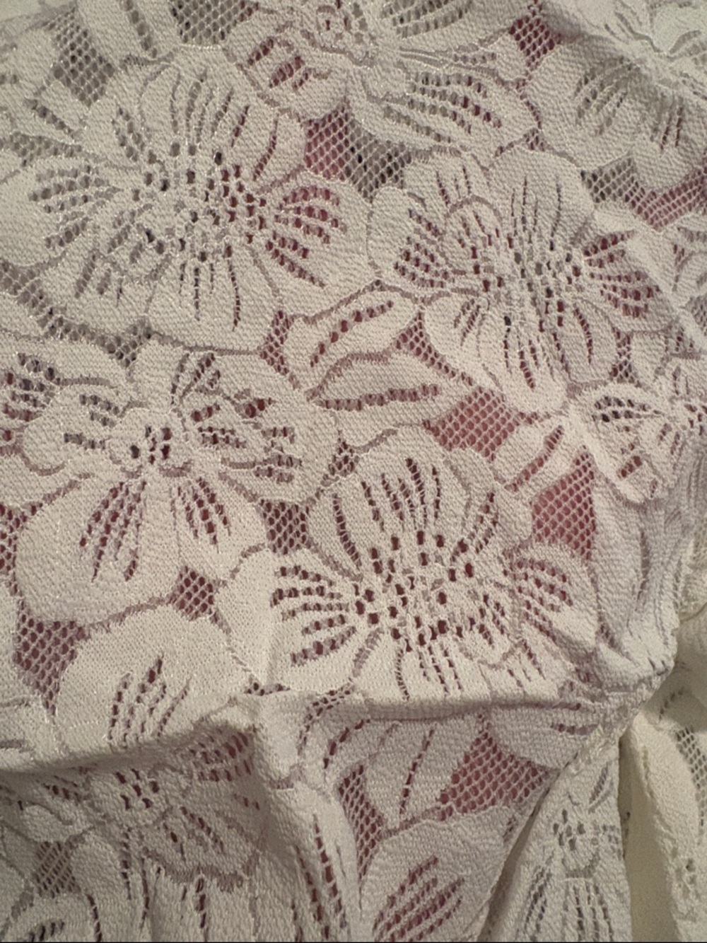 Aerie Lace Boyshorts - White Women's Shorts. Medium - Picture 3 of 3